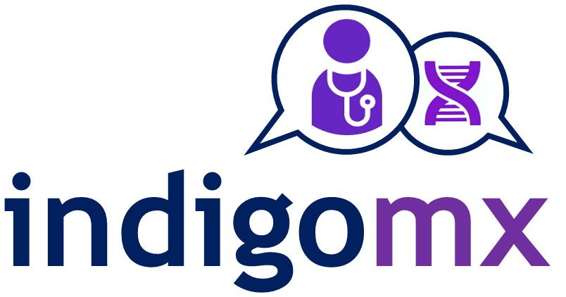 IndigoMx logo