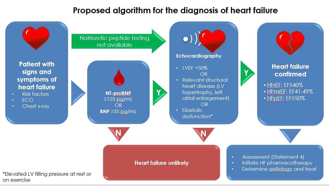 Diagnostic algorithm slide from the APSC heart failure consensus presentation