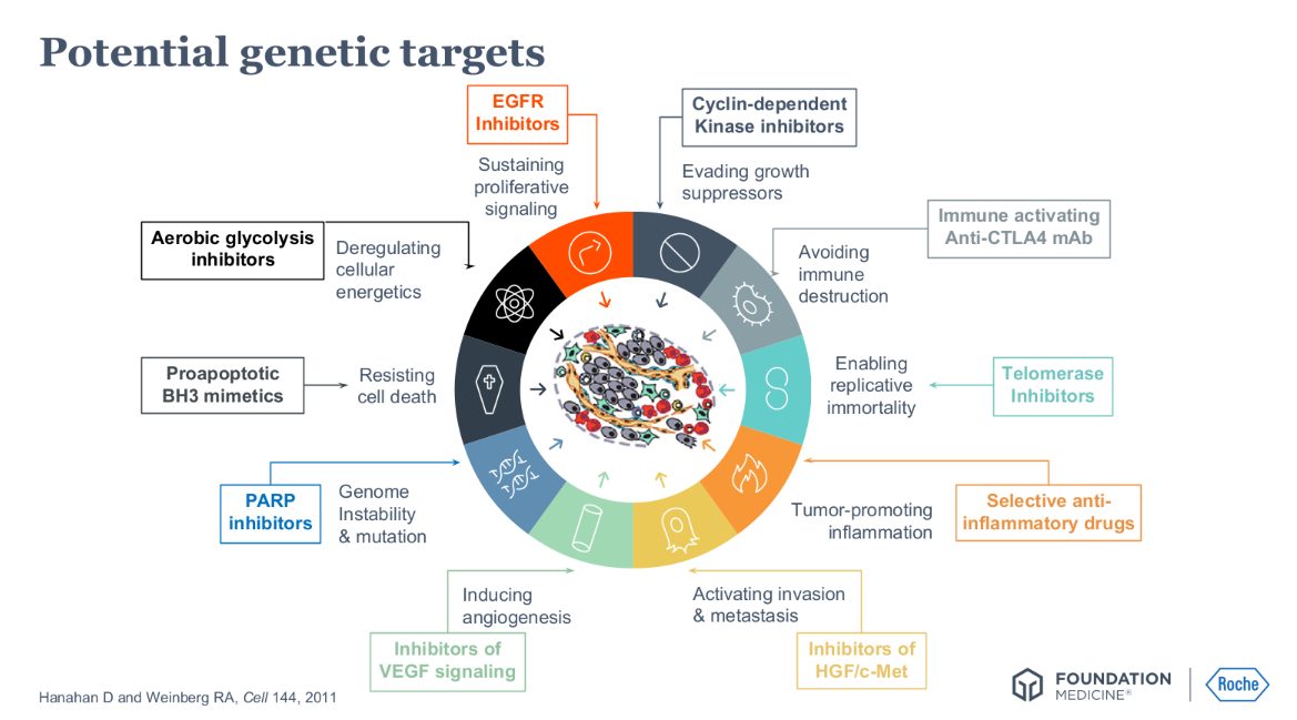 Slide showing potential genetic targets in cancer